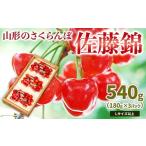 ふるさと納税 果物類 