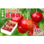 ふるさと納税 果物類 