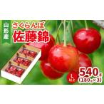 ふるさと納税 果物類 