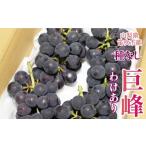 ふるさと納税 ぶどう 巨峰 山梨県 笛吹市  2026年発送 先行予約 山梨県笛吹市産わけあり巨峰（たねなし） 090-018-26y