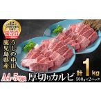 牛肉 焼肉 バーベキュー A4 A5等級 産黒毛和牛