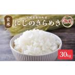 ふるさと納税 玄米 宮