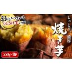 野菜類 サツマイモ C3-1916 つらさげ芋の