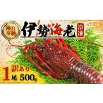 ふるさと納税 エビ 伊勢エビ 三重県 志摩市 年内配送・ダンボール入 訳あり 伊勢海老 約500g × 1尾 冷凍 数量限定 期間限定 伊勢海老 伊勢エビ 伊勢 海老 エ…