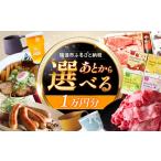 カタログ あとから ふるさと 1万円分 AZDD001