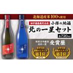 日本酒 純米大吟醸酒 小樽の地酒 北の一星セット 2種
