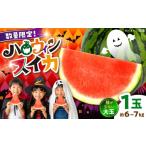 fu.... налог арбуз Kumamoto префектура .. город предшествующий предварительный заказ 2026 год 10 месяц сверху ... последовательный отправка ограниченное количество Kumamoto Halloween ...1 шар ( примерно 6~7kg) большой шар осень ... арбуз осень Halo u...