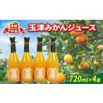 果汁飲料 みかん 玉津 みかんジュース 温州みかん