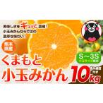 ふるさと納税 みかん・柑橘類 デコポン 熊本県 玉東町 訳あり みかん 小玉みかん くまもと小玉みかん 10kg 秋 旬 不揃い 傷 ご家庭用 SDGs 小玉 たっぷり 熊本…