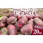 野菜類 じゃがいも 20kg