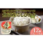ふるさと納税 米 コシ