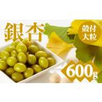 野菜類 大粒銀杏 殻付き 600g
