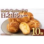 焼菓子 チョコレート 009-a021 小堀日之出堂