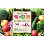 fu.... налог комплект *... Nagano префектура Matsumoto город предшествующий прием :2026 год отправка 9 месяц отправка Shinshu Matsumoto производство *.. овощи случайный комплект ( примерно 10~12 товар ) I овощи ...... овощи...