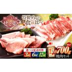 豚肉 バラ 全6回定期便 冷凍 肉 瀬戸のもち豚せと姫