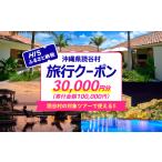 パッケージ旅行 HIS クーポン3万円分