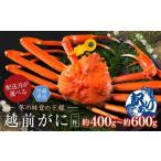 ふるさと納税 カニ ずわいガニ 福井県 越前市  2026年3月発送・月指定可 越前がに（オス）「ずわいがに」（400g〜600g） 訳あり 1杯 越前がに（オス）「ずわい…