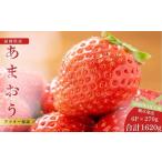 ショッピングふるさと納税 いちご ふるさと納税 いちご 福岡県 須恵町  先行予約 福岡県産あまおう 270g×6パック 2026年4月上旬順次配送 TY015-2 配送不可：北海道・沖縄・離島 福岡県須恵町 …