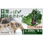 野菜類 爬虫類用 定期便6回 季節の葉っぱ詰め合わせ