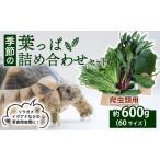 野菜類 爬虫類用 季節の葉っぱ詰め合わせ