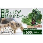 ショッピングふるさと納税 訳あり 傷 ふるさと納税 野菜類 京都府 -  爬虫類用 訳あり野菜と季節の葉っぱ詰め合わせ セット 約 600g 60サイズ ( 訳あり 訳あり野菜 草食 雑食 爬虫類 ペットフード …