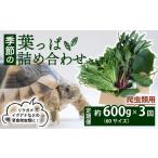 野菜類 爬虫類用 定期便3回 季節の葉っぱ詰め合わせ