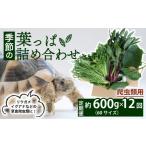 野菜類 爬虫類用 定期便12回 季節の葉っぱ詰め合わせ