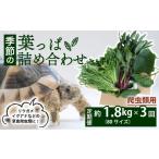 野菜類 爬虫類用 定期便3回 季節の葉っぱ詰め合わせ