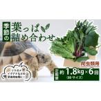 野菜類 爬虫類用 定期便6回 季節の葉っぱ詰め合わせ