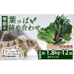 野菜類 爬虫類用 定期便12回 季節の葉っぱ詰め合わせ