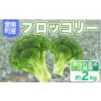 野菜類 ブロッコリー 約2kg
