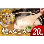 米 令和7年産 定期便6回 穂のなごみ 20kg