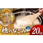 米 令和7年産 定期便3回 穂のなごみ 20kg