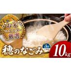 米 令和7年産 定期便3回 穂のなごみ 10kg