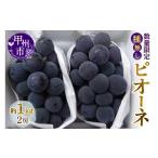 ぶどう 種なしピオーネ 約1kg