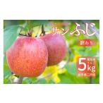 りんご 訳あり サンふじ 約5kg