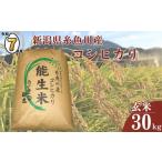ふるさと納税 玄米 新潟県 糸魚川市  2026年2月発送 令和7年産新米予約 新潟県糸魚川産コシヒカリ 玄米30kg 2025年産 精米サービス可能 農家直送 あぐ里能生 …