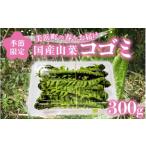 fu.... налог овощи вид дикоросы Fukui префектура прекрасный . блок предшествующий предварительный заказ сезон ограничение местного производства дикоросы ko мусор прекрасный . блок. весна . доставка 2026 год 4 месяц сверху . после последовательный отправка предположительно ... дикоросы ksa саговник ....