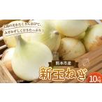 ショッピングふるさと納税 玉ねぎ ふるさと納税 野菜類 玉ねぎ 熊本県 熊本市  数量限定 新玉ねぎ 約 10kg 野菜 やさい 玉ねぎ たまねぎ タマネギ 玉葱 オニオン スライス 国産 熊本 熊本市 202…