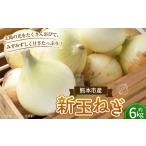 fu.... налог овощи вид шар лук порей Kumamoto префектура Kumamoto город ограниченное количество новый шар лук порей примерно 6kg овощи ... шар лук порей лук репчатый tama лук-батун лук oni on ломтик местного производства Kumamoto Kumamoto город 2026...