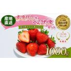 ふるさと納税 いちご 埼玉県 羽生市  予約 あまりん べにたま 食べ比べ セット 1000g いちご 苺 ストロベリー 産地直送 ご当地 果物 くだもの フルーツ デザー…