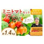 fu.... налог помидор мини помидоры Wakayama префектура .. город мини помидоры комплект ( случайный набор ) примерно 1.4kg{ предшествующий предварительный заказ }