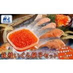 魚貝類 鮭 網走産 秋鮭いくら 親子セット 切身