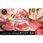 牛肉 セット 定期便 全6回 スターゼン厳選