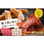 肉 容量 冷凍 瀬戸のもち豚 ポークジャーキー