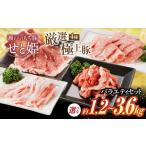 バラエティセット約3 600g