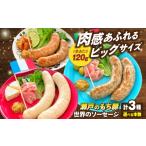 肉 ソーセージ 容量 瀬戸のもち豚 世界の3種セット×1セット