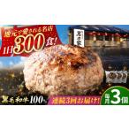 肉 ハンバーグ 3回定期便 〈電子レンジ 湯煎OK
