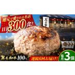 肉 ハンバーグ 6回定期便 黒毛和牛100%