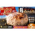 肉 ハンバーグ 3回定期便 黒毛和牛100%